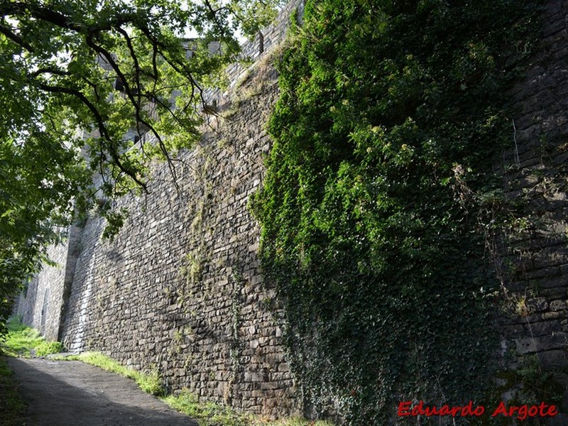 Muralla urbana de Aínsa