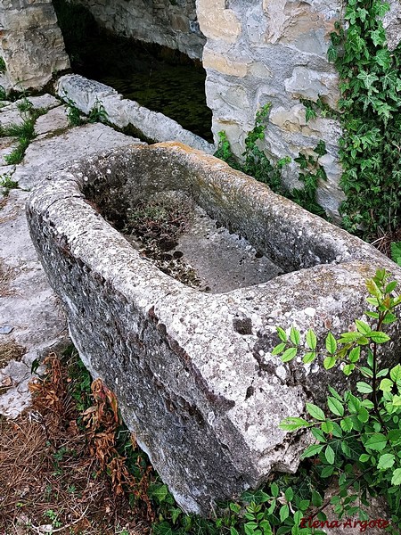 Fuente-abrevadero-lavadero de Arcusa