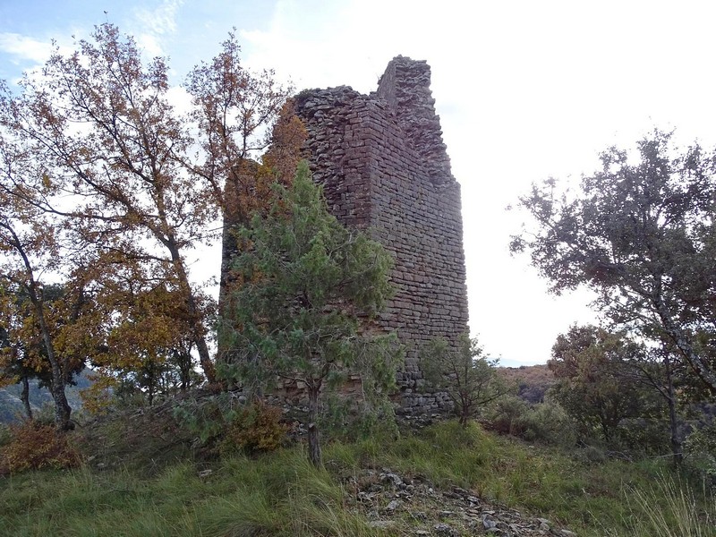 Torre de Arcusa