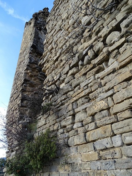 Torre de Arcusa