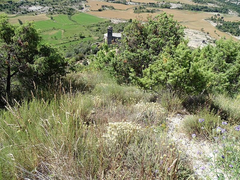 Castillo de Buil