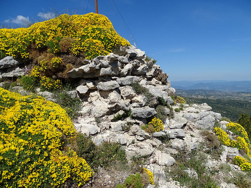 Castillo de Surta