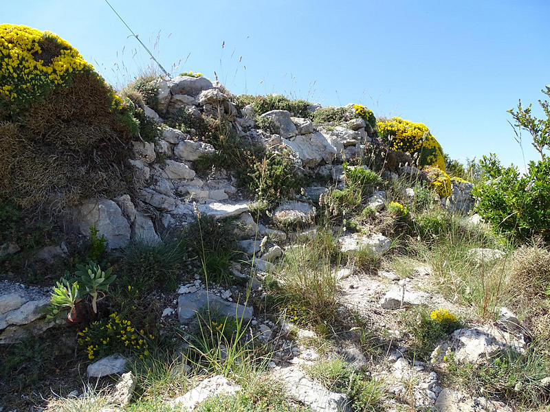 Castillo de Surta