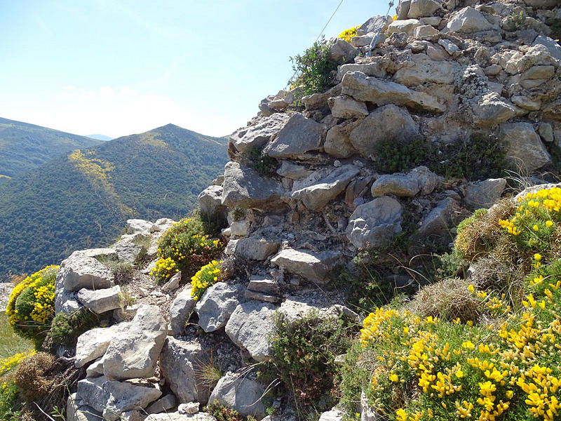 Castillo de Surta