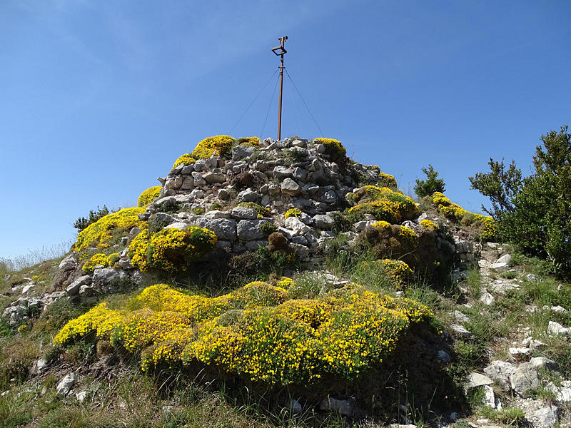 Castillo de Surta