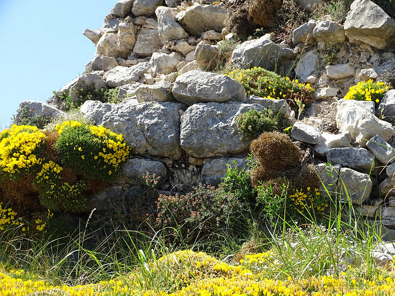 Castillo de Surta