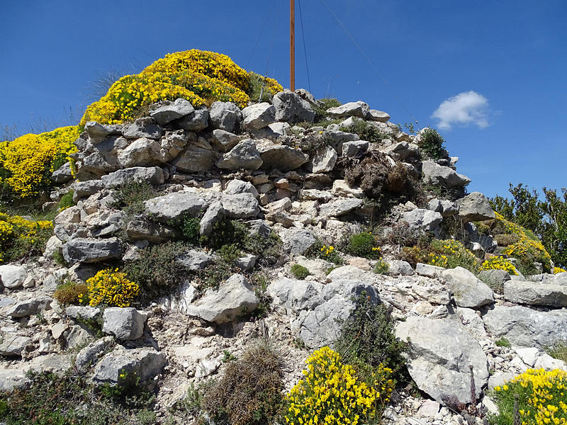 Castillo de Surta