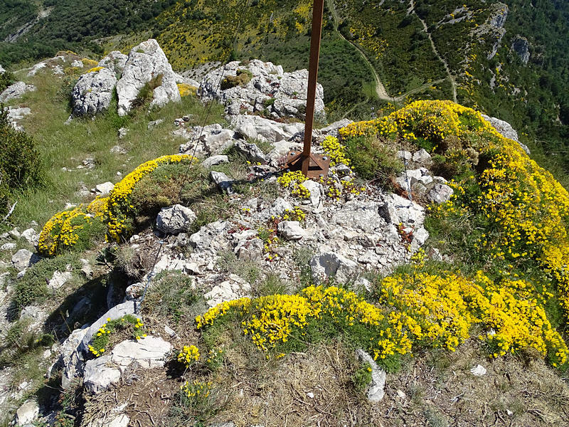 Castillo de Surta