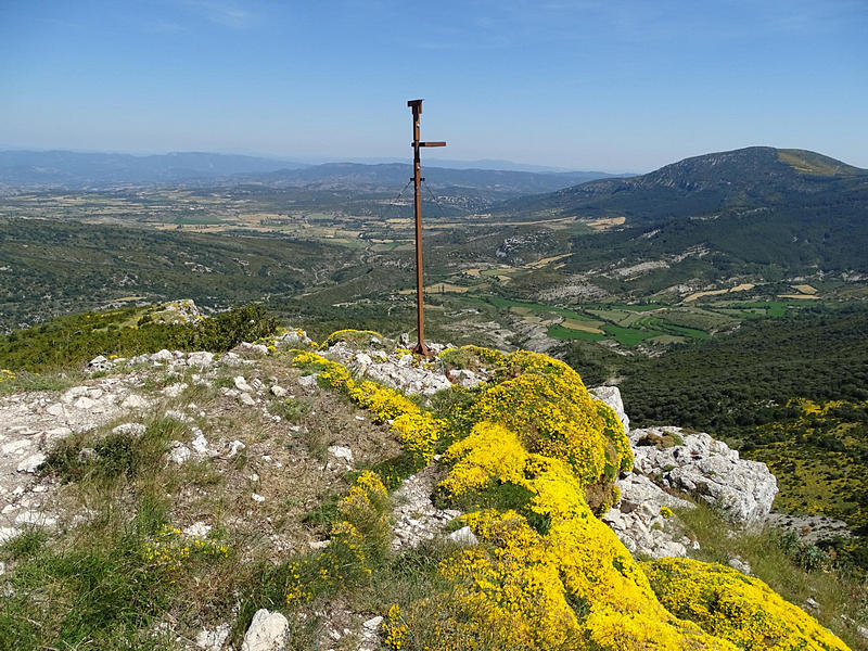 Castillo de Surta