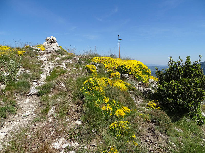 Castillo de Surta