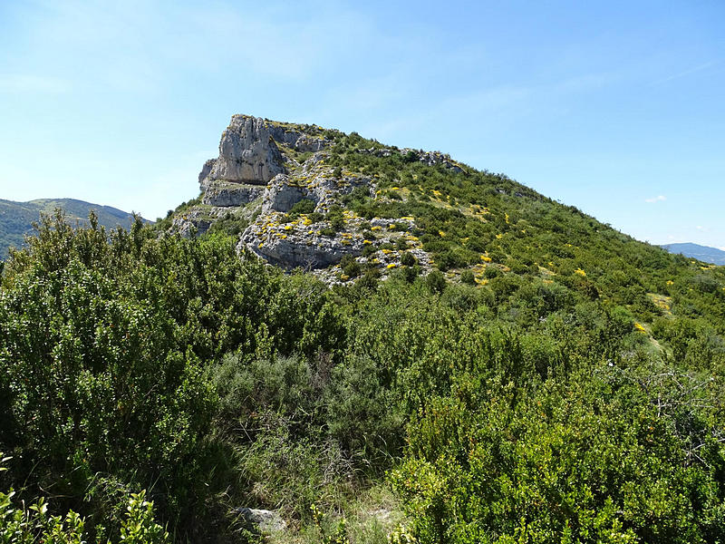 Castillo de Surta