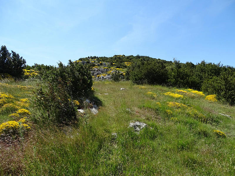 Castillo de Surta