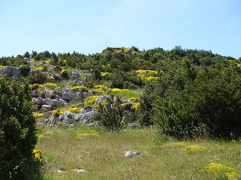 Castillo de Surta