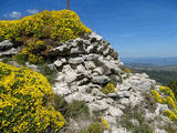 Castillo de Surta