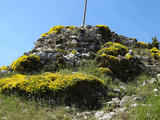 Castillo de Surta