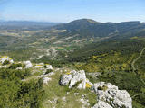 Castillo de Surta