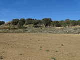 Castillo de Abrisén