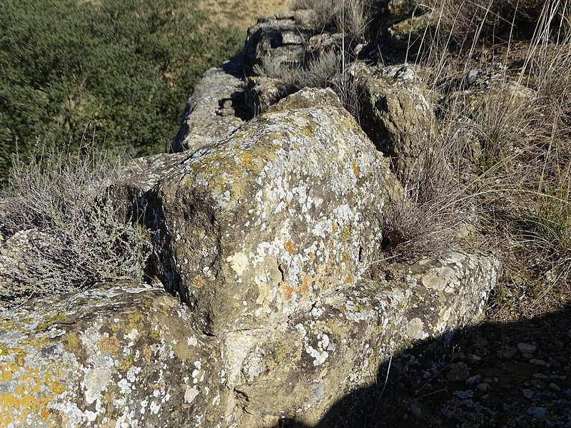 Castillo de Lizana