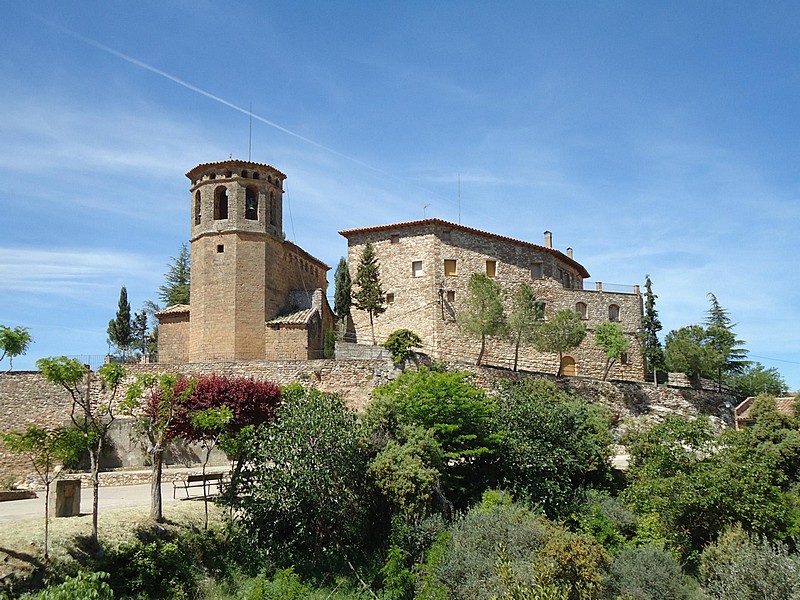 Castillo Palacio de Aler