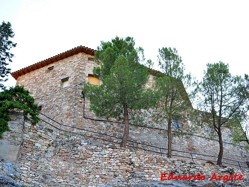 Castillo Palacio de Aler