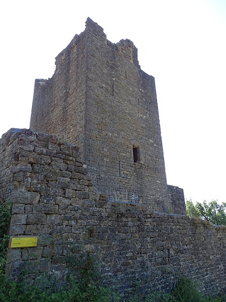 Castillo de Escuer