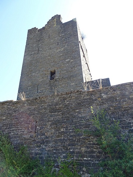 Castillo de Escuer