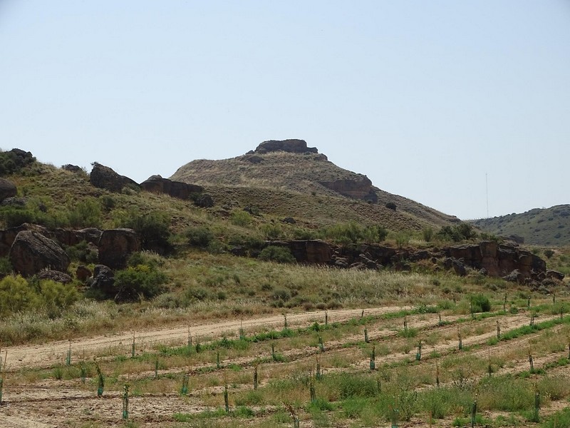 Imagen de Castillo de Carboneras