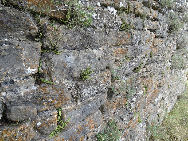 Castillo de Morcat