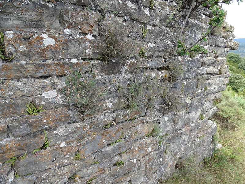 Castillo de Morcat