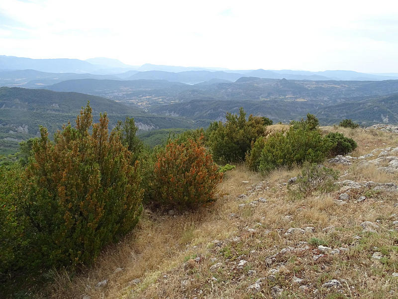 Castillo de Morcat