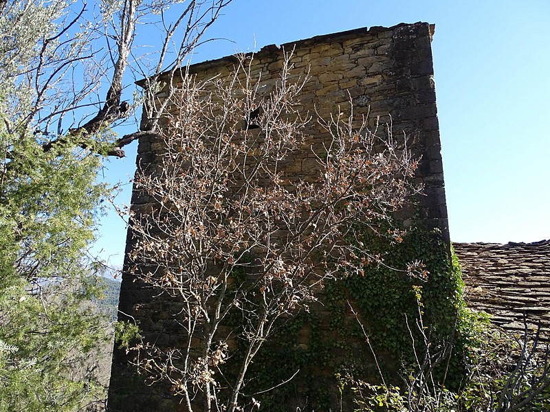 Casa fuerte de El Pamporciello