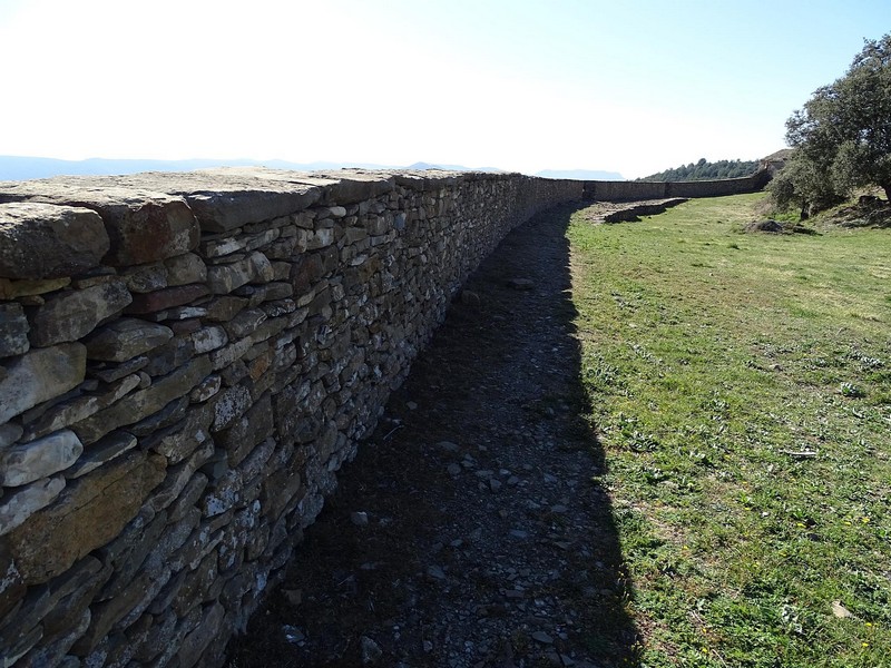 Conjunto fortificado de Muro de Roda