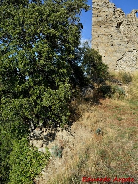 Castillo de Troncedo