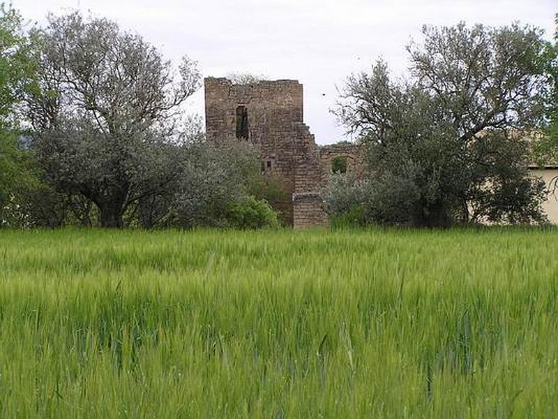 Castillo de Artasona