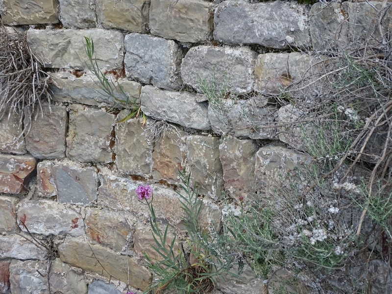 Castillo de Pano