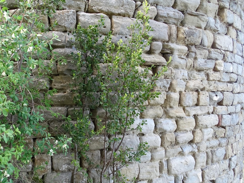 Castillo de Pano