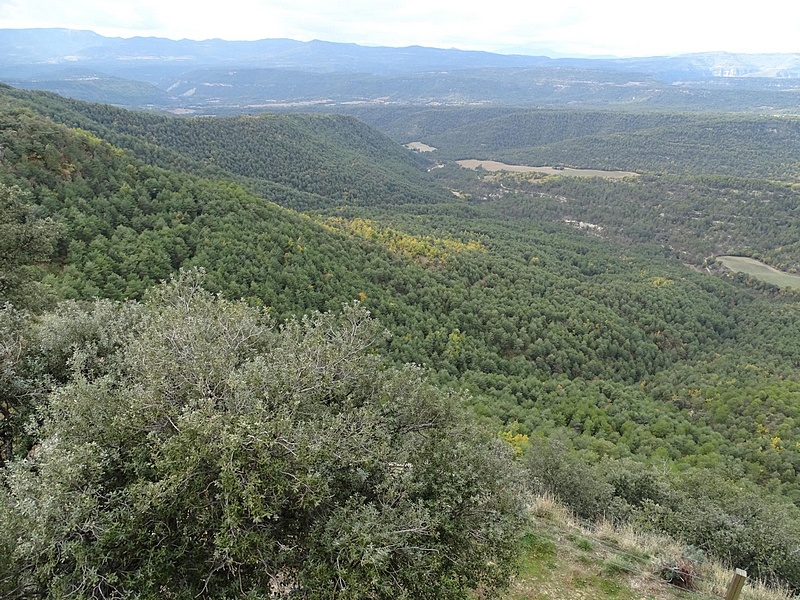 Castillo de Fantova