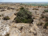 Castillo de Gabarda