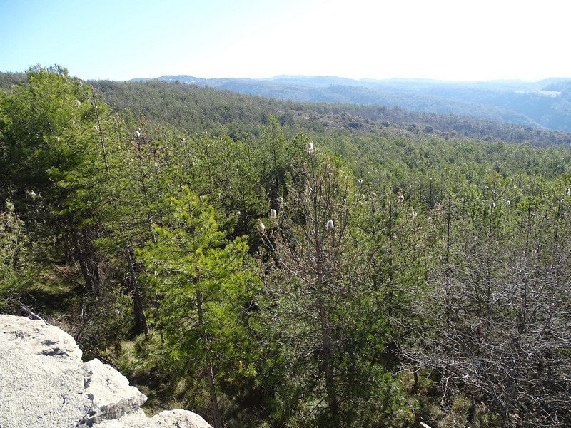 Torre de los Moros