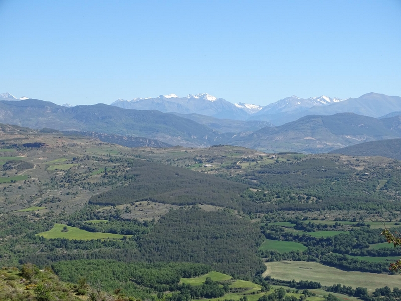 Castillo de Monesma