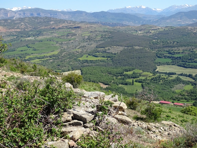 Castillo de Monesma