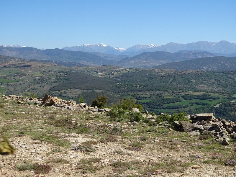 Castillo de Monesma