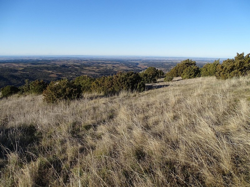 Castillo de Momegastre