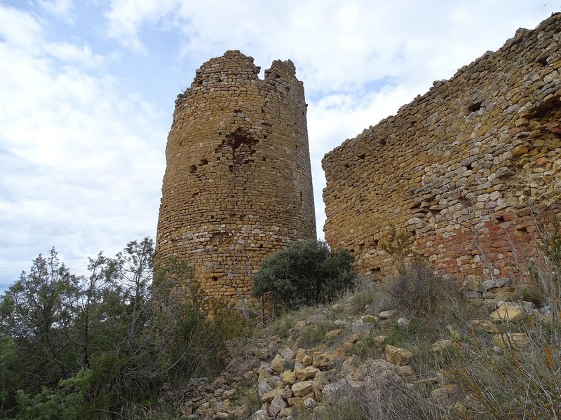 Castillo de Falcés