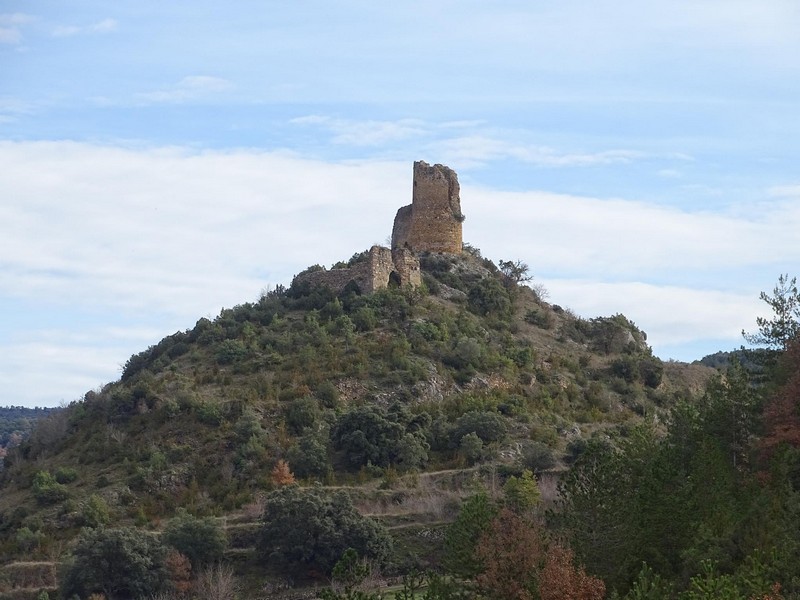 Castillo de Falcés