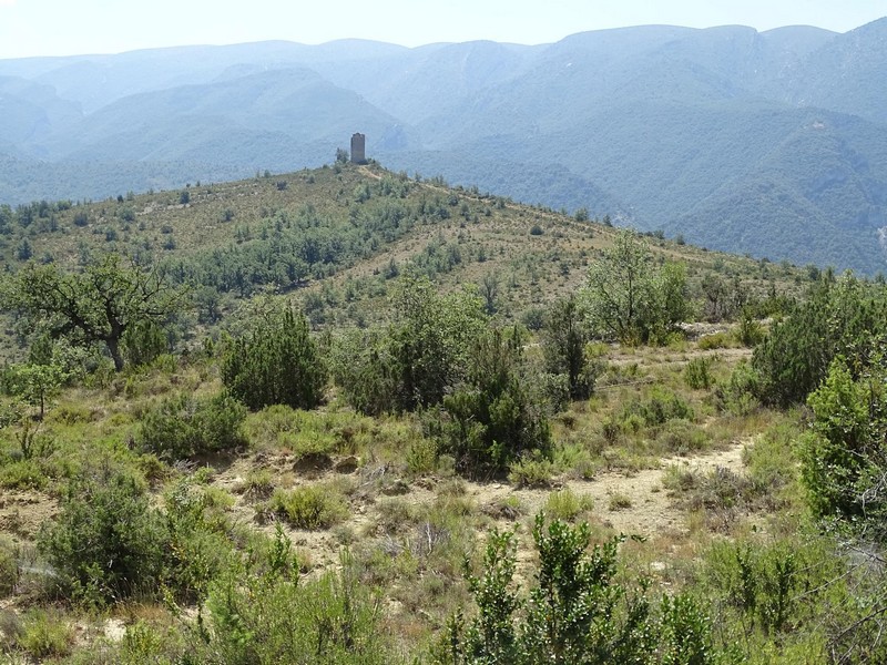 Castillo de Mongay