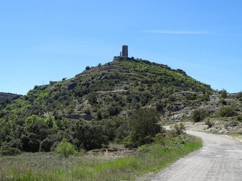 Castillo de Viacamp