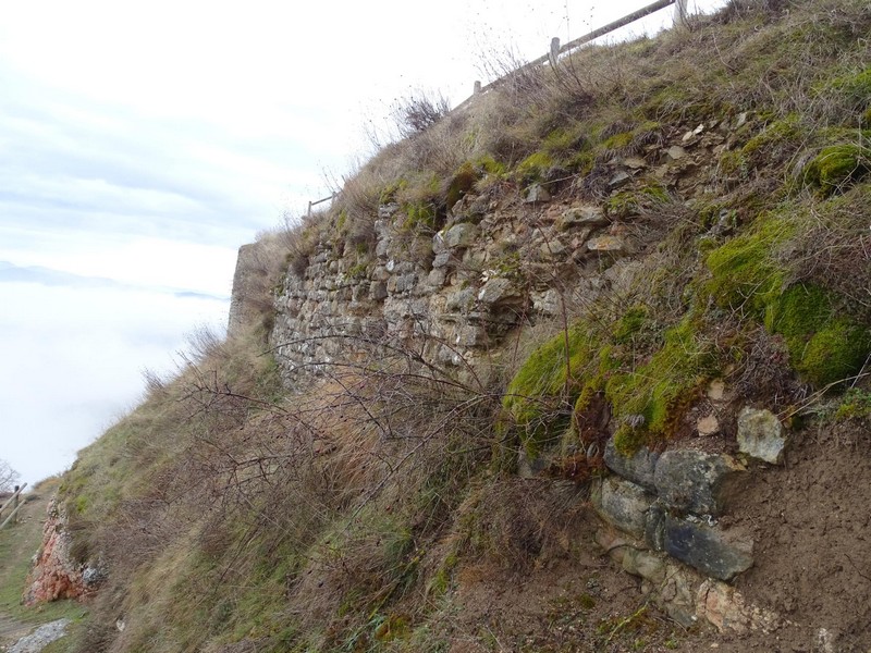 Castillo de Viacamp