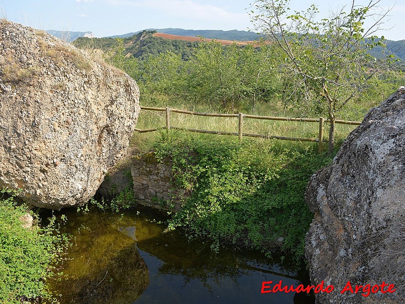 Castillo de Viacamp