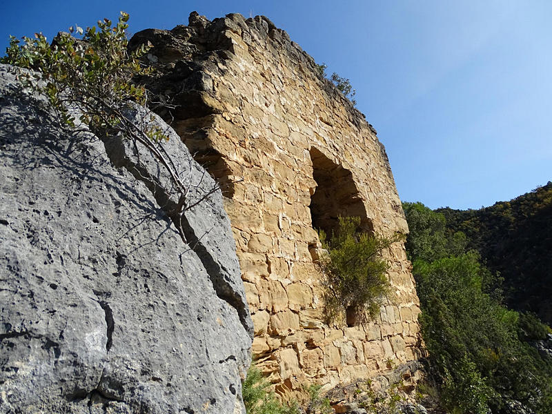 Torre de Monte Vira